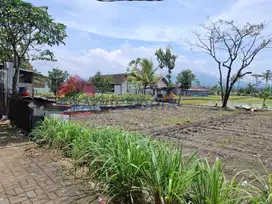 Tanah Strategis di Tegalgondo, Dekat Kampus UMM, Wisata Sengkaling