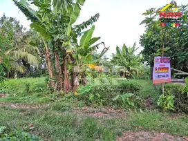Dijual Tanah Kavling  Cocok Untuk Investasi Dekat Banyuwangi Park