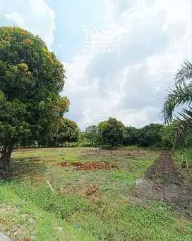 DIJUAL CEPAT TANAH HARGA DIBAWAH NJOP SIAP BANGUN SIMPANG TIGA PEKANBA