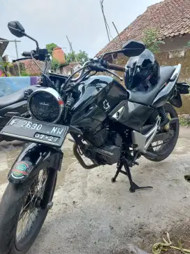 Tiger Revo 2011