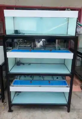 Aquarium Akuarium Tank 3 Susun Ikan Arwana Rak 120x50x40 cm Full Set