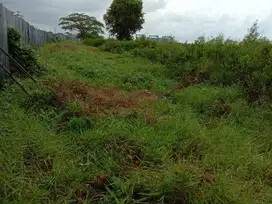 Dijual Tanah Cilacap