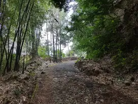 Dijual Lahan di Pinggir Jalan Ciwidey Bonus Bangunan Villa