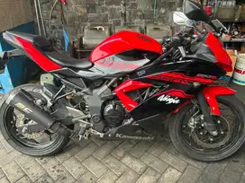 Kawasaki ninja 250 mono