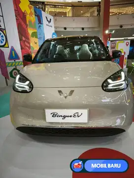 [Mobil Baru] WULING BINGUO 410