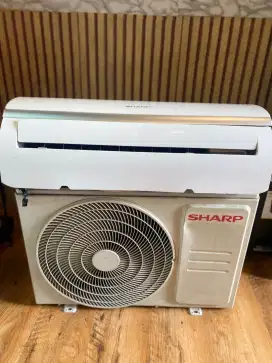 AC Sharp 1/2 PK