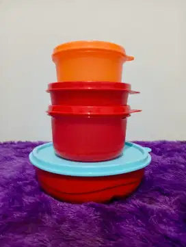 Tupperware Lunch box & 2 Handy bowl
