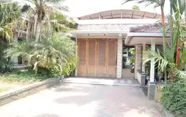 Dijual Cepat Rumah Murah Di Polehan Tanah Super Luas Kota Malang