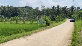 Dijual Tanah Di Ds Kemuning, Tunjung Teja - Serang, Banten