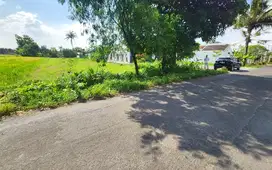 Tanah Dekat Alun-Alun Utara, 8 Menit, SHM