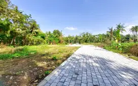 Tanah Dekat Kampus UAD 4, 3 Menit Saja, Harga Terbaik