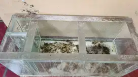 Dijual Aquarium Filter P.100 x L.60 x T.60 Bekas Second Aquascape Ikan