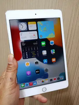 iPad mini4 16gb celluler