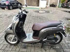 Honda scoopy 2019 grey