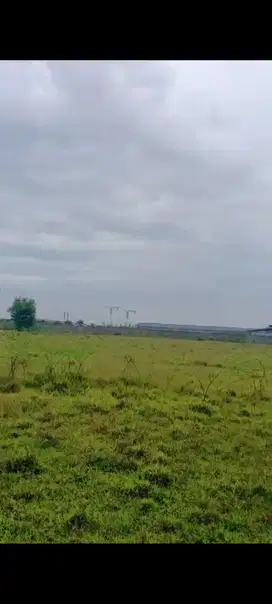 LAHAN INDUSTRI MODERN CIKANDE SERANG BANTEN