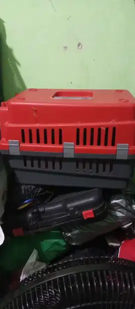 Jual kndang kucing jinjing