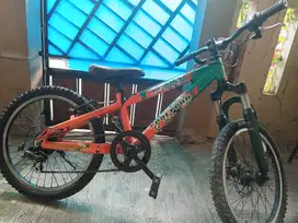 Sepeda polygon 20