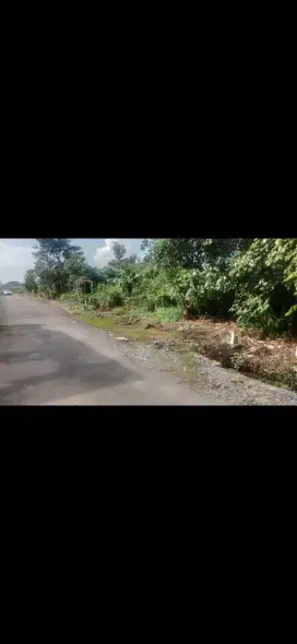 Tanah kavling jalan perdana ukuran 31 x 20