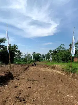 Tanah Cocok Hunian Lingkungan Asri 0 Jalan