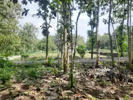 JUAL TANAH KULONPROGO DI SRIKAYANGAN SENTOLO
