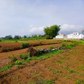 Dijual Tanah Cocok Bangun Rumah Kos-kosan