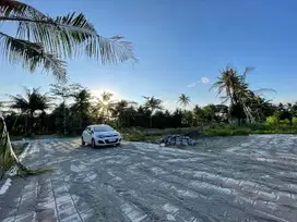 5 Menit Kampus UNY Wates,Tanah Murah Timur Bandara YIA Untuk Investasi