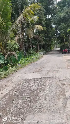 Tanah murah di manisrenggo 645m 200jt