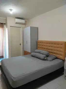 Apartemen Educity 1BR Furnished Bulanan / Tahunan
