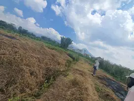 Pilihan Tepat! Tanah Kavling Dekat Kampus UIN