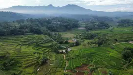 Dijual Murah Tanah Sawah 1586m2 Pinggir Sungai di Darangdan Purwakarta