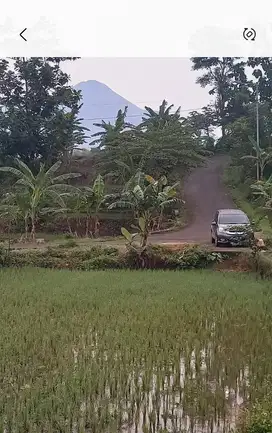 DI JUAL TANAH VIEW MATAHARI TERBIT GUNUNG PENANGGUNGAN WISATA PACET
