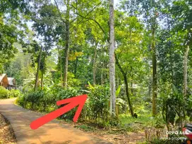 Dijual Kebun Durian 1600m² Jonggol Cileungsi Bogor Timur