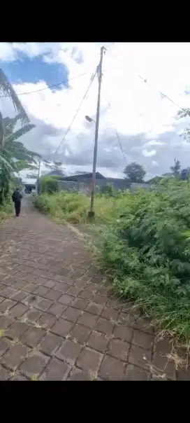 Dijual tanah 5 are di darmasaba dekat ayani utara