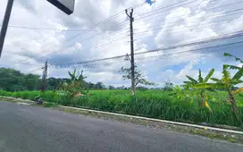 Tanah Sleman Cocok Usaha, Mangku Jalan Aspal