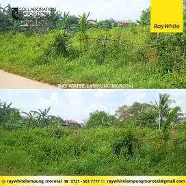 Dijual Tanah di Natar, Lampung Selatan (kode: AY 3216)