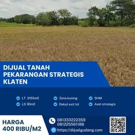 Dijual tanah pekarangan lokasi klaten luas 3155m BU!