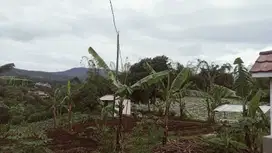 Di Jual Tanah Cocok Untuk Cluster Di Cisarua KBB