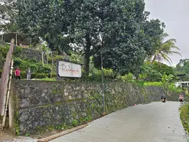 Jual Tanah Murah bonus Pohon Durian dekat Gunung Salak Bogor