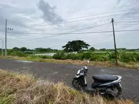 Dijual Tanah SHM Murah di jalan pantura desa sumari kec.duduksampeyan