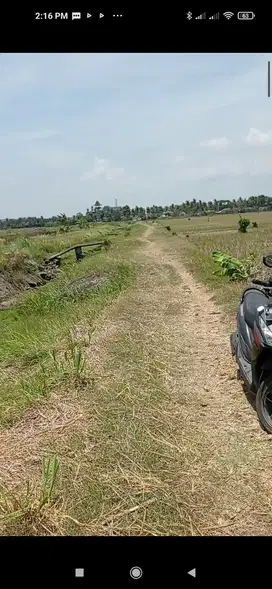 Tanah Sawah 1951m2  Turun Harga  750 rb/m  Net 490 ribu/m  utk investa
