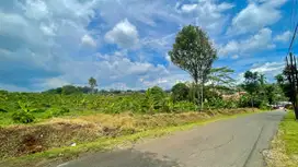 Tanah Pinggir Jalan 4901 m2 Dekat Gerbang tol Darangdan Dijual Murah