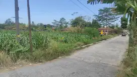 Tanah Sawah Luas 2440 Meter persegi Lokasi Dekat Kopi Klotok Pakem Sle