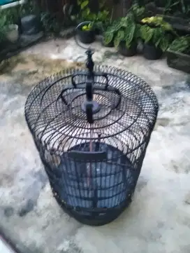 Kandang Murai batu