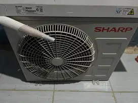 ac sharp 1/2 pk