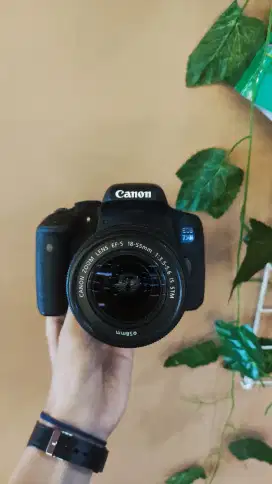 Kamera Canon Eos 750D Kit 18-55mm IS STM