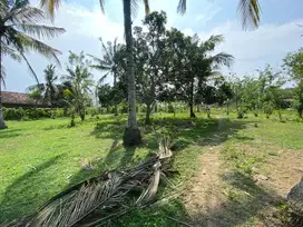 DI JUAL TANAH 29 ARE