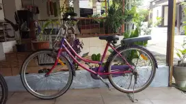 Sepeda wanita dewasa united
