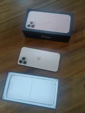 Iphone 11 pro 256gb yes ember apple