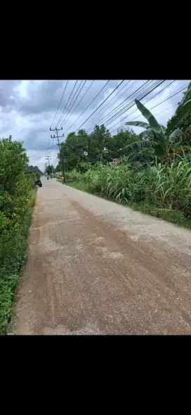 Tanah tepi jalan karya haruna kotabaru ukuran 25 x 395