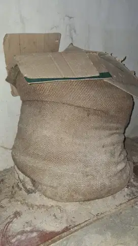 Pasir bangunan 50kg